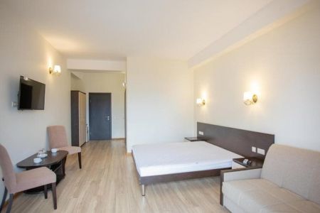 Полулюкс  2-местный 1-комнатный (корпус Желтый)