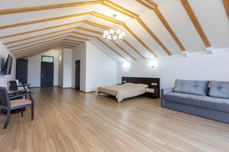 Полулюкс 2-местный 1-комнатный Видовой (корпус Желтый)