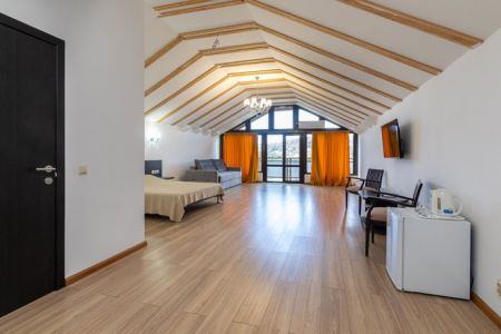 Полулюкс 2-местный 1-комнатный Видовой (корпус Желтый)