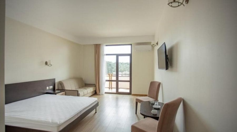 Полулюкс  2-местный 1-комнатный (корпус Желтый)